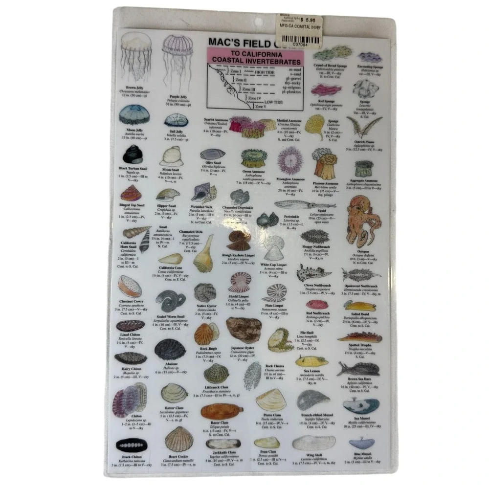 Discovery Ultimate Book of Sharks & Mac's Field Guide California Invertebrates